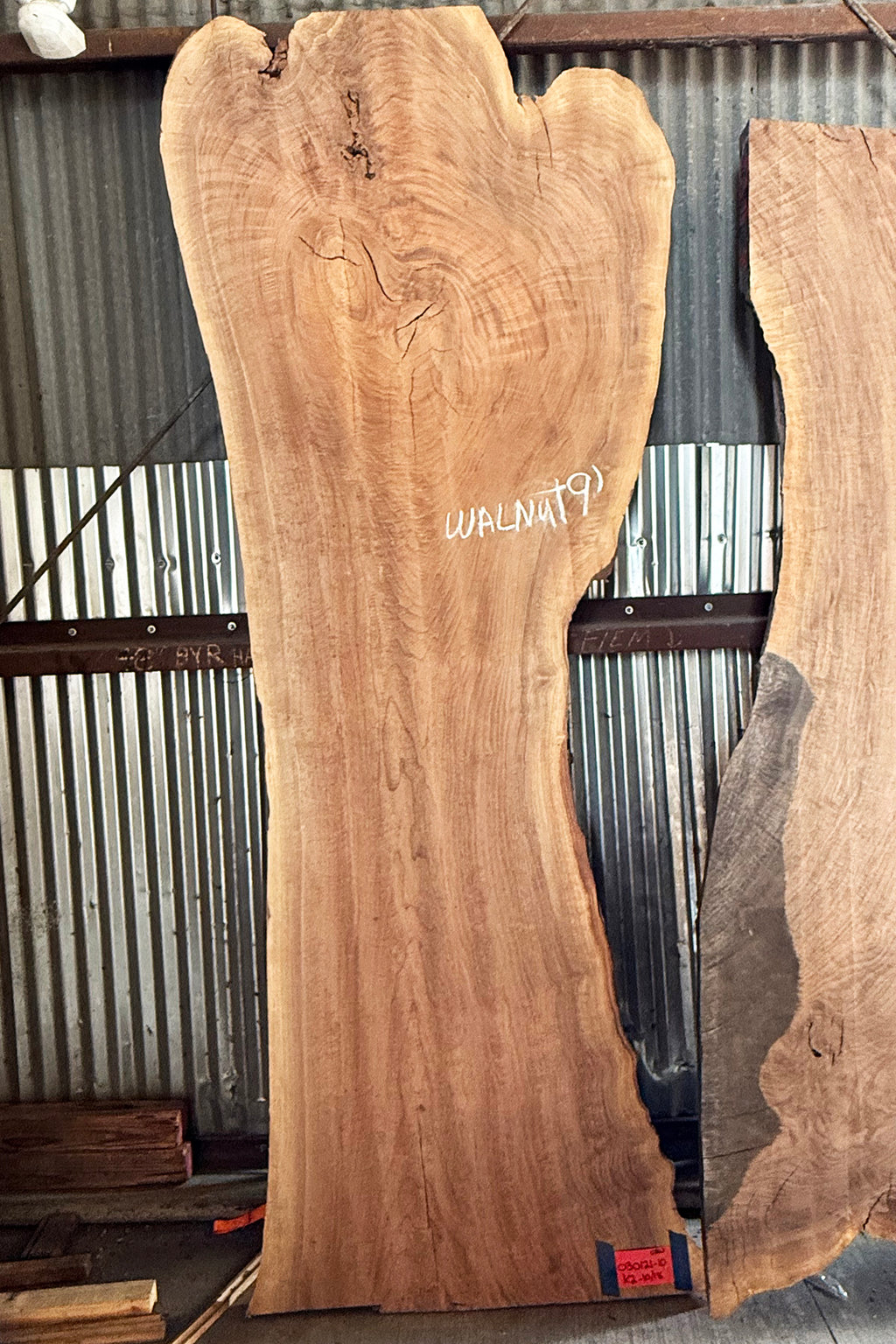 Walnut Slab H