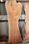 Walnut Slab H